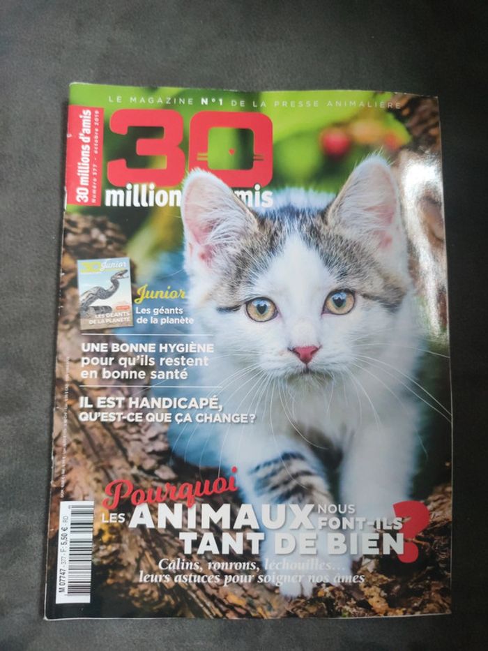 Magazine 30 millions d'amis numéro 377 octobre 2019