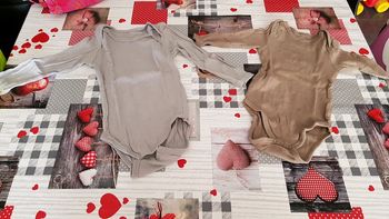 Lot 2 body manches longues taille 9mois