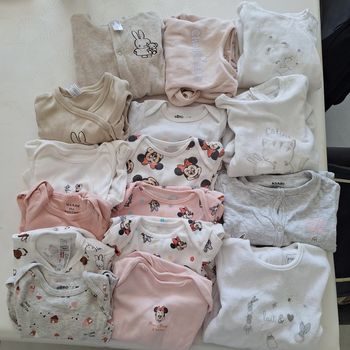 Lots 6 mois