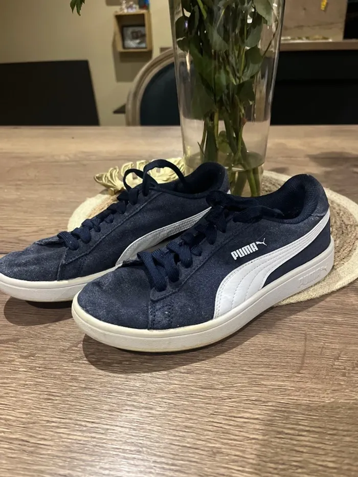 Basket puma