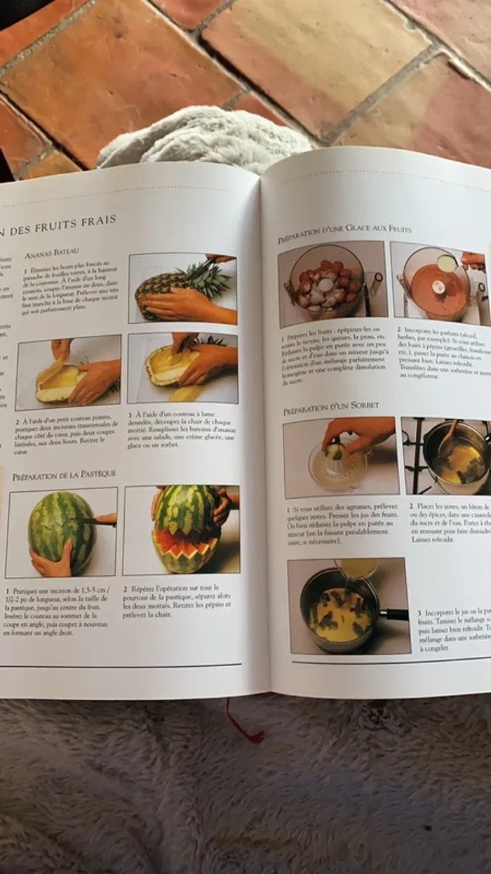Le livre pratique de la maison - photo numéro 3