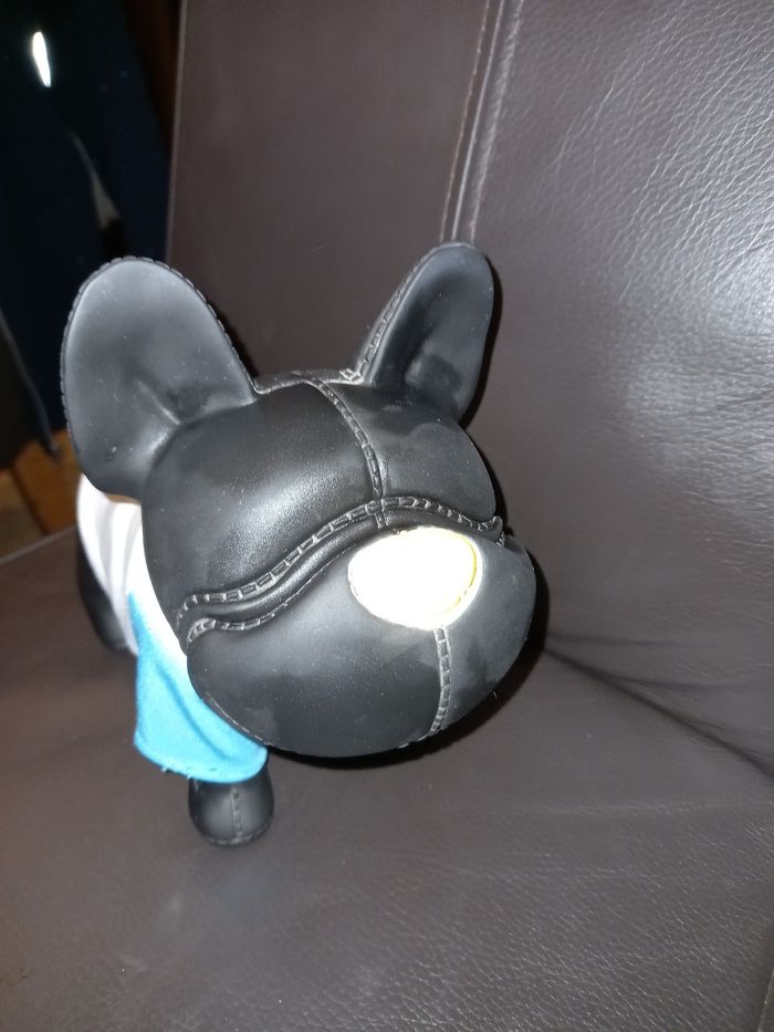 Chien peps bully 23 - photo numéro 3