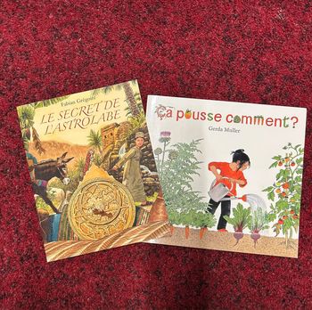 Lot 2 livres école des loisirs des Max