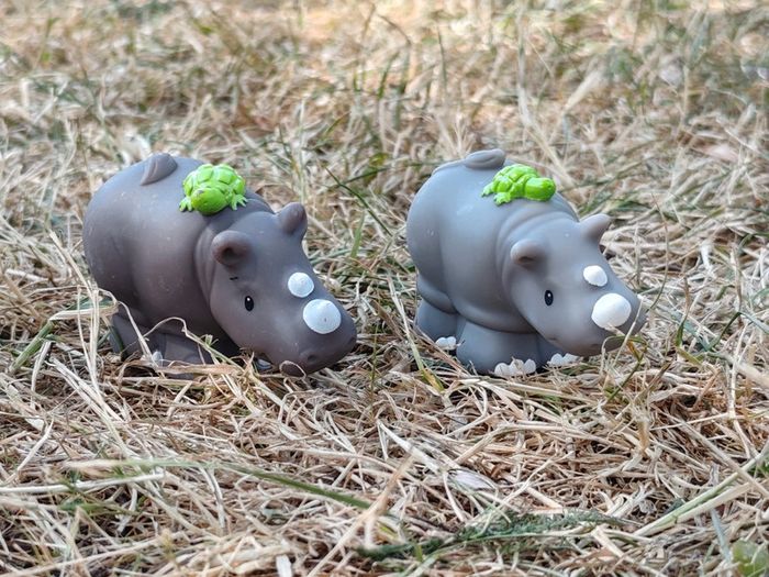 Couple rhinoceros little people