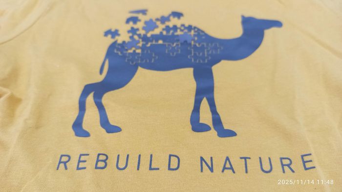 6 ans t-shirt manche courte dromadaire okaidi - photo numéro 6