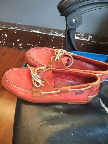Sebago  shoes