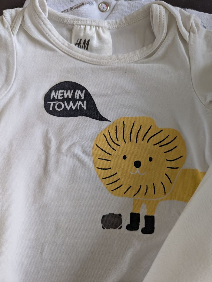 Lot bodies 3 mois - photo numéro 5