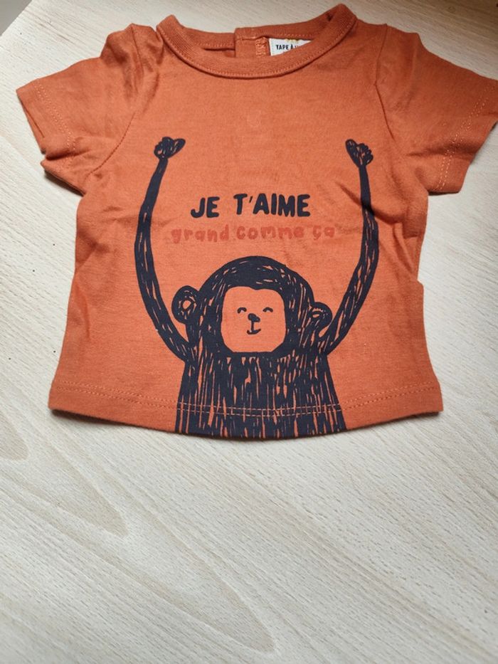 Tee shirt - photo numéro 2