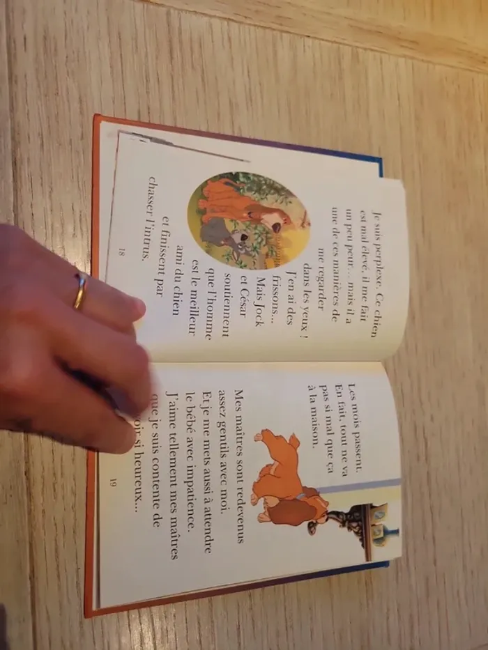 Livre Mes animaux préférés Moi, Belle Disney - photo numéro 3
