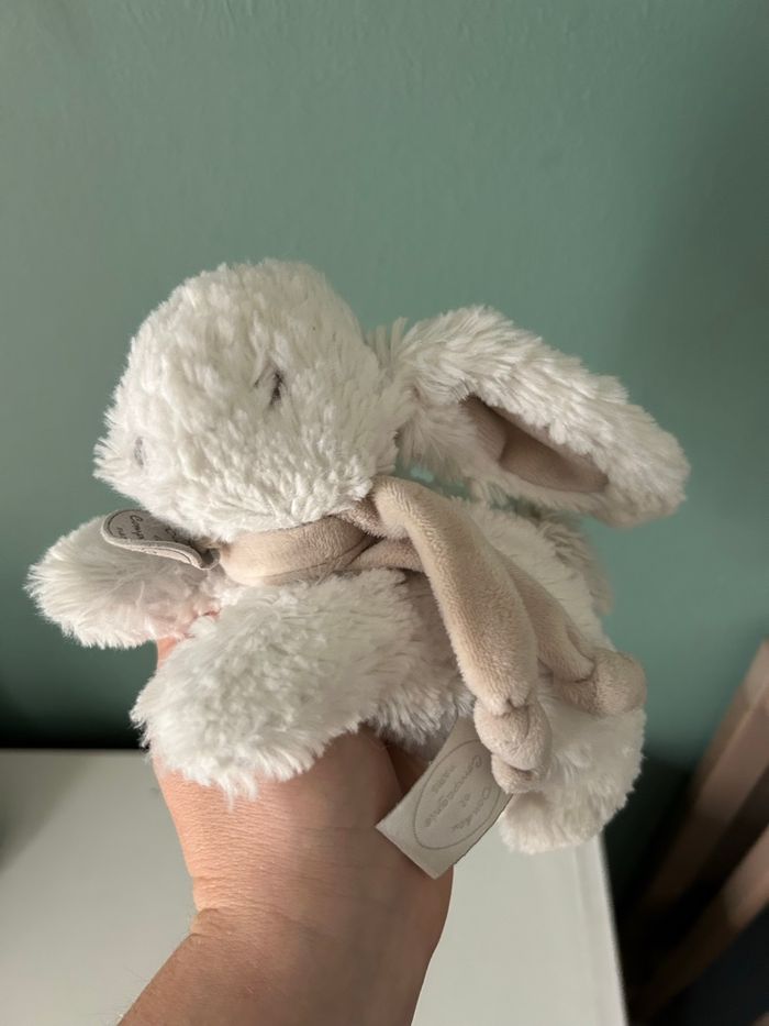 Lapin Doudou et compagnie