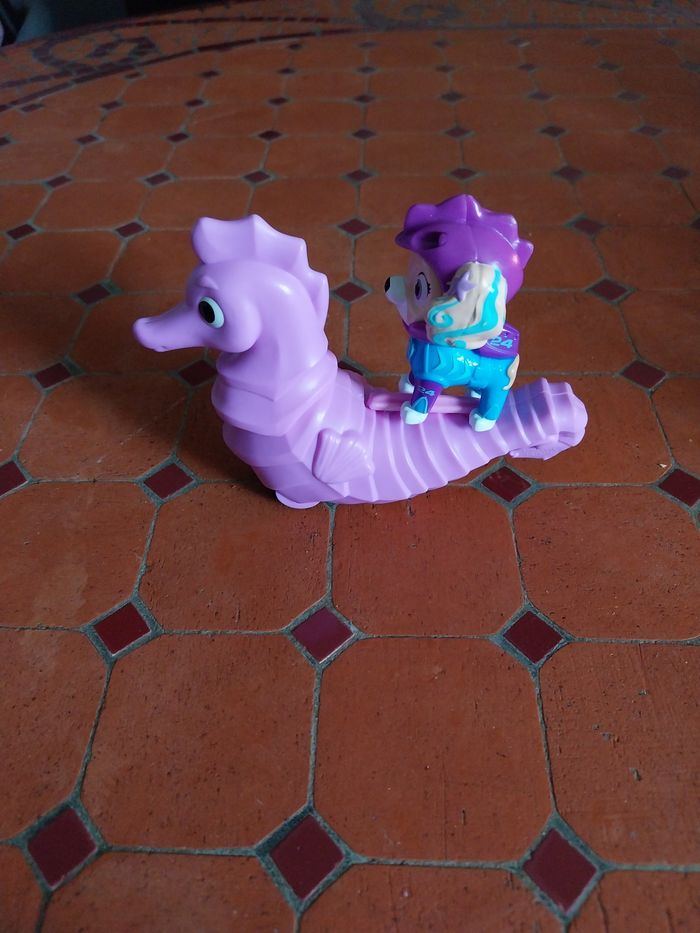 Hippocampe stella - photo numéro 2