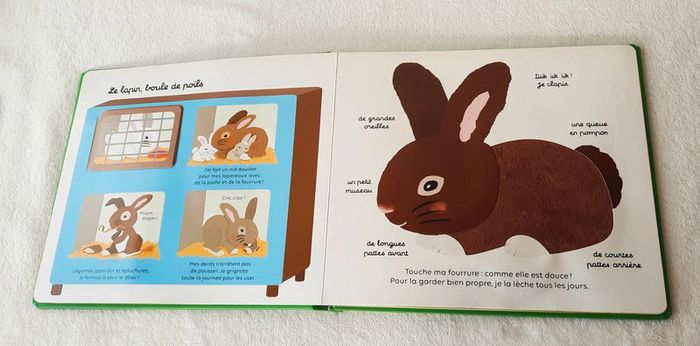 Livre les Animaux de la Ferme - photo numéro 5