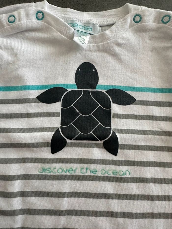 Hauts - photo numéro 2