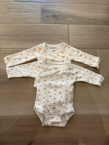 Lot 2 bodies