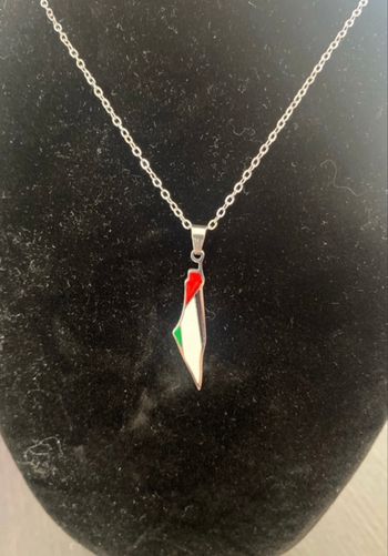 Collier palestine en acier inoxydable 🥰