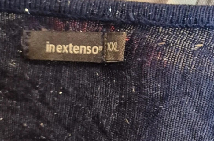 Pull femme grande taille - photo numéro 2