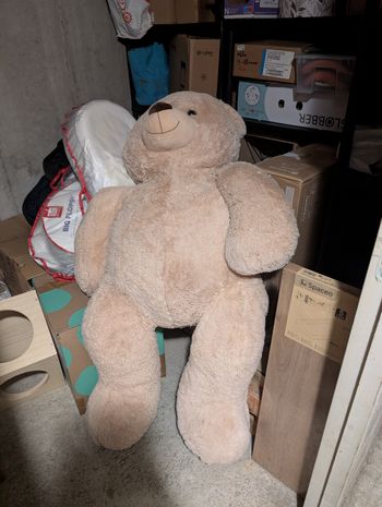 Ours peluche géante