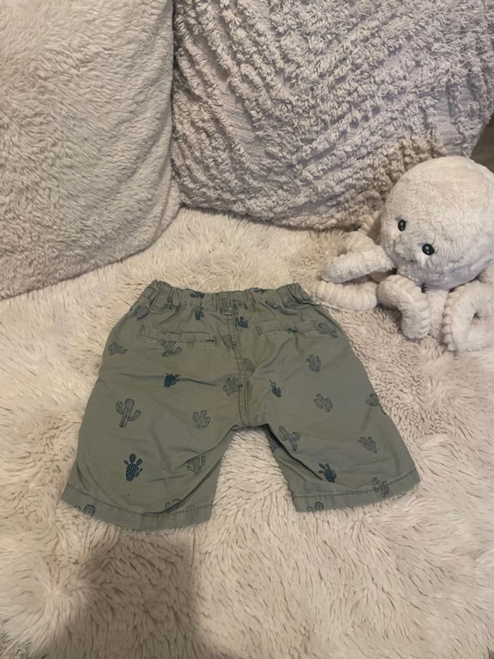 Short cactus 🌵 - photo numéro 2