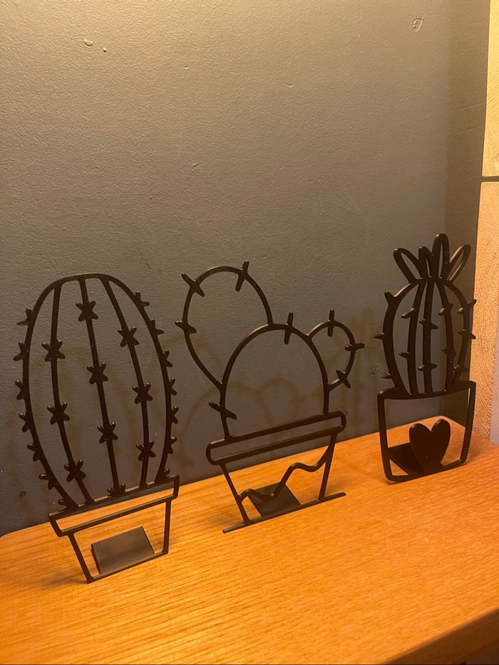 Décoration cactus - photo numéro 2