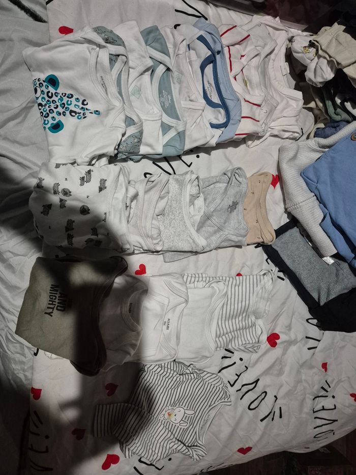Bodies