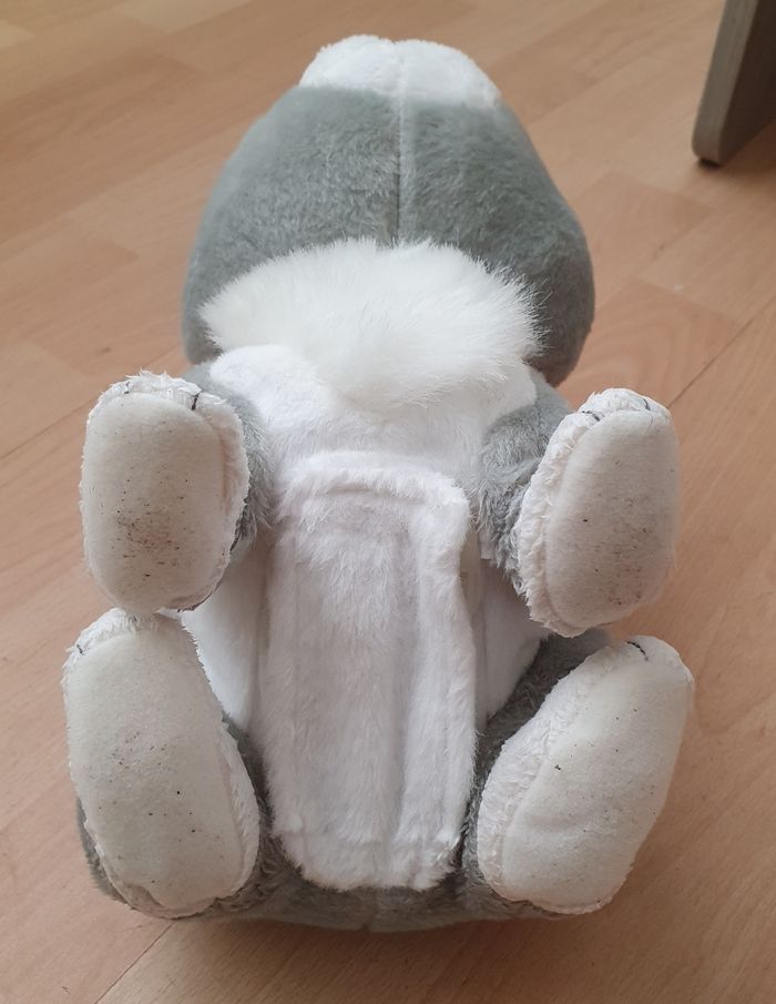 Lapin - photo numéro 4
