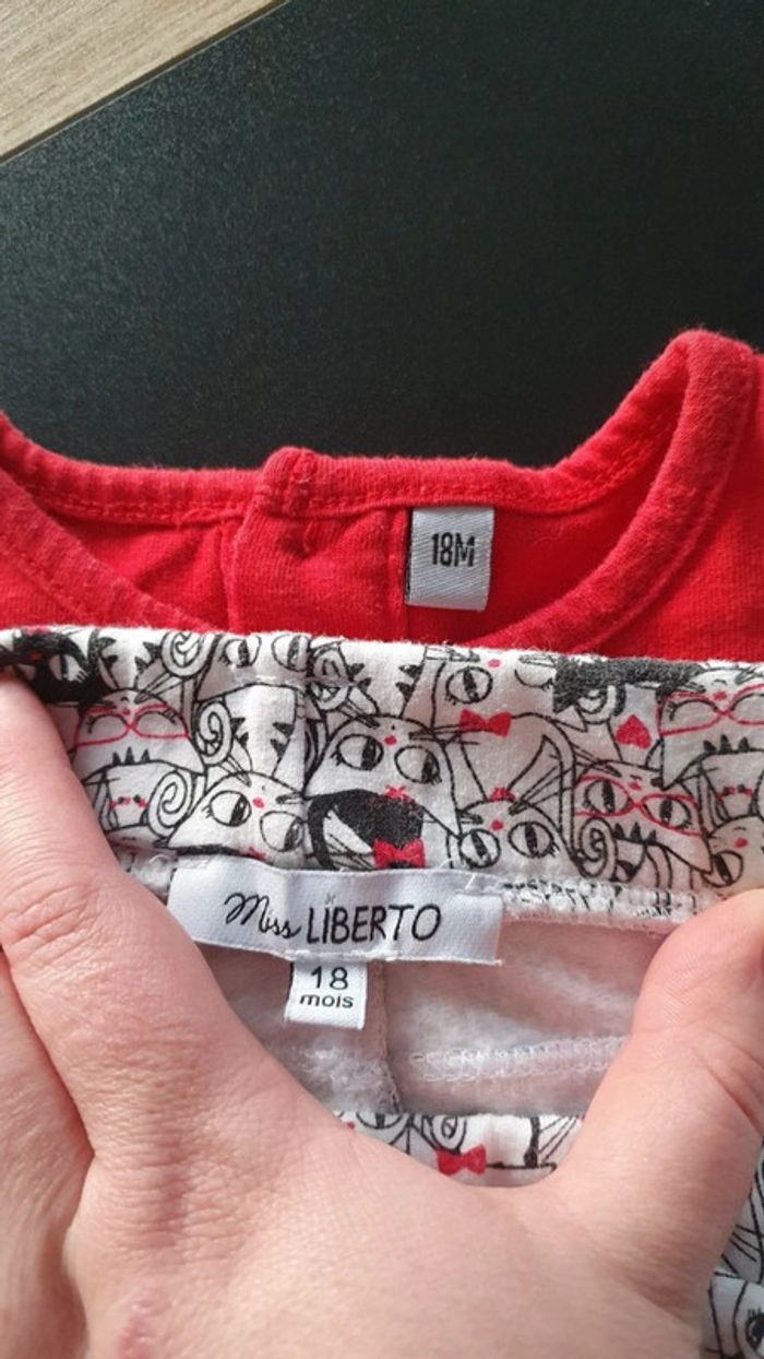 Ensemble tee-shirt et pantalon épais 18 mois - photo numéro 5