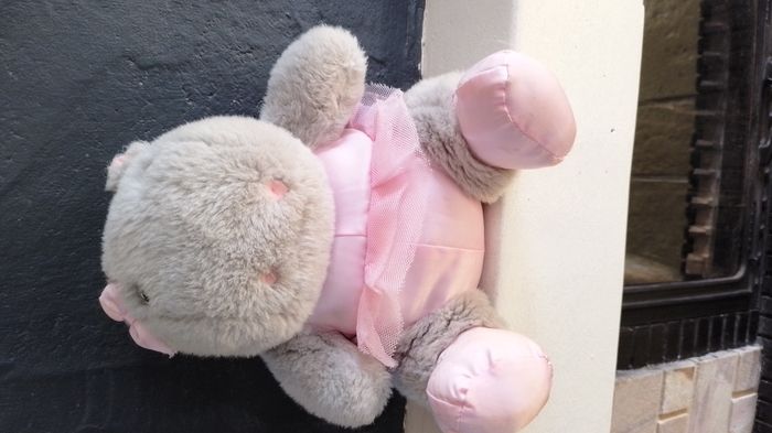 peluches - photo numéro 3