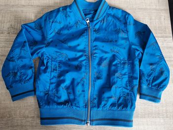 Veste dinosaure