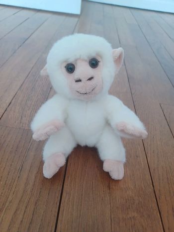 Petit singe