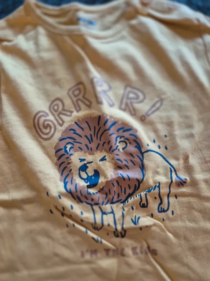 Lot tee-shirt - photo numéro 6