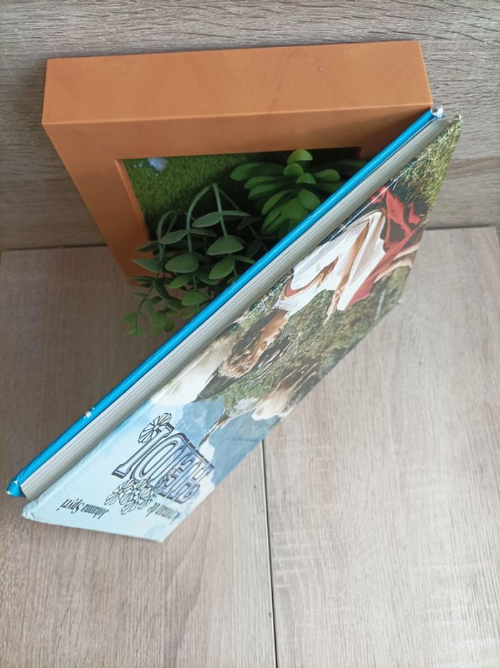 Livre Le roman de Heidi - photo numéro 6