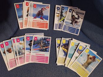 cartes l'age de glace les courses artiques