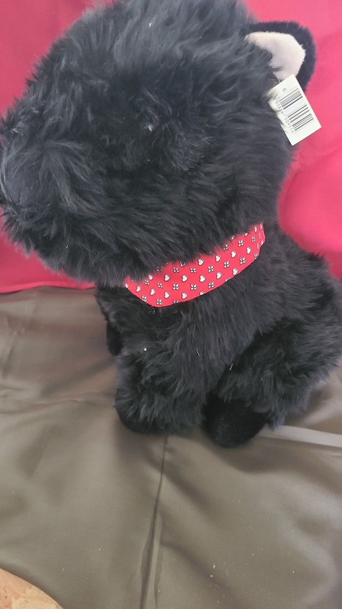 Chien Scottish Terrier Noir - photo numéro 4