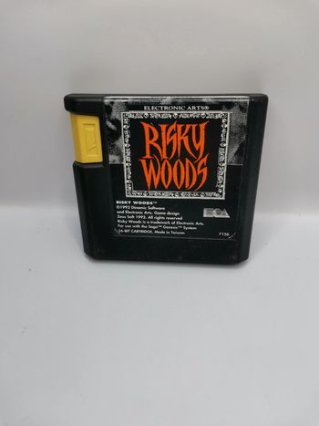 Jeux sega megadrive Genesis risky woods