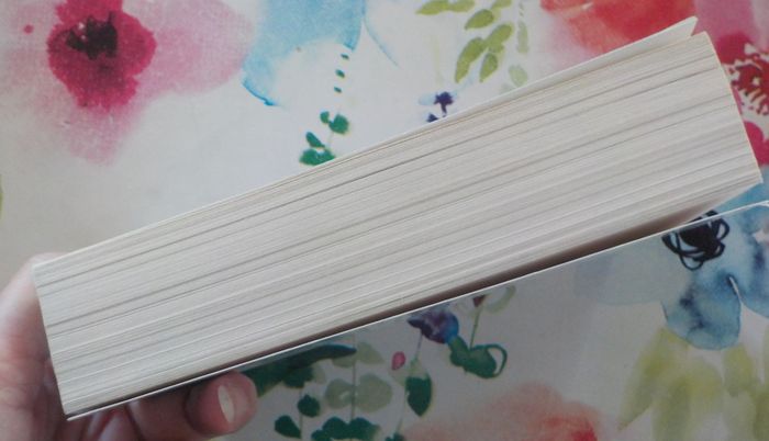 N'ETEINS PAS LA LUMIERE de Bernard MINIER Ed. Pocket - photo numéro 5