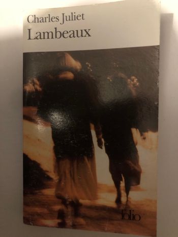 Livre Lambeaux Charles Juliet