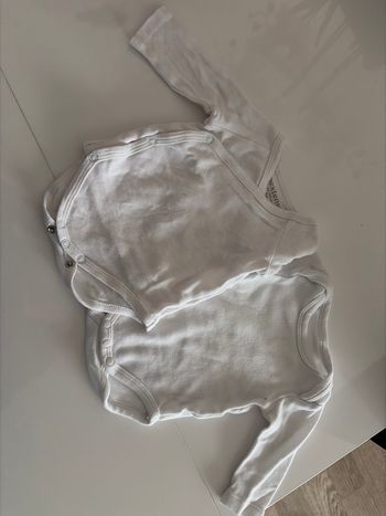 Bodies 