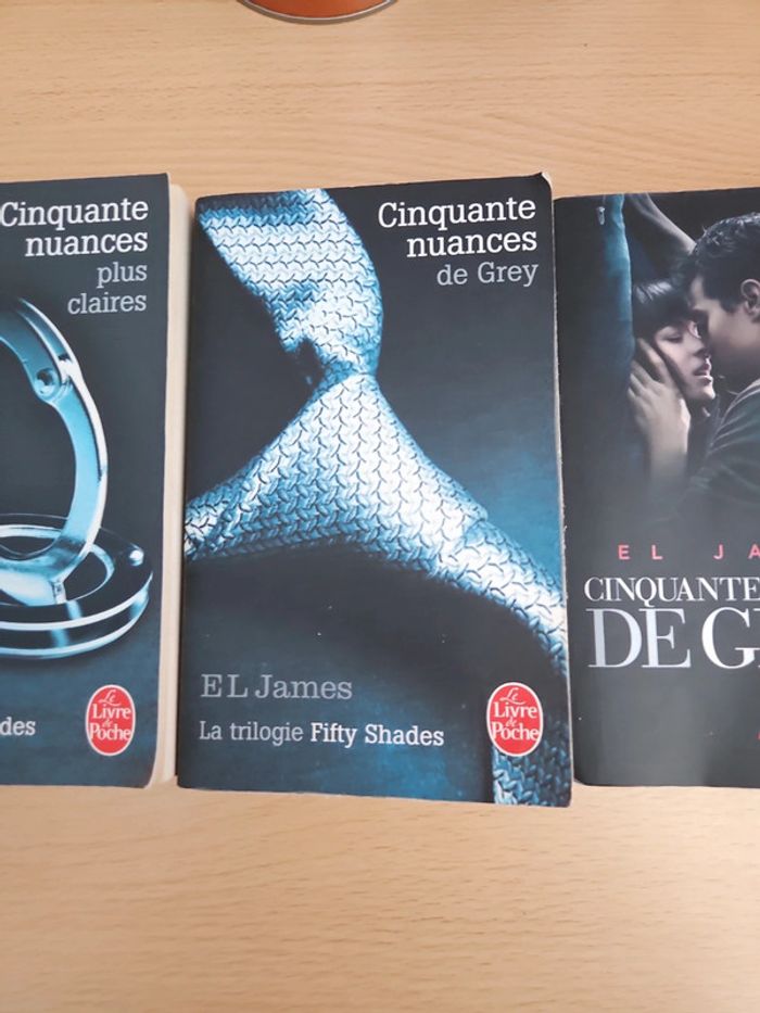 Cinquante nuances de grey - photo numéro 3