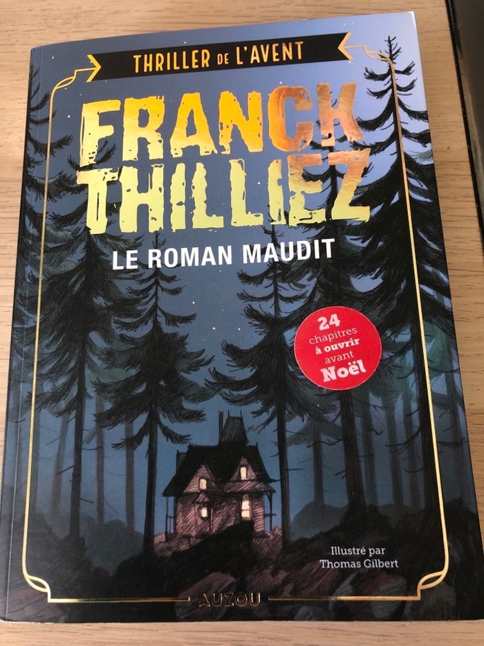 Le roman maudit - photo numéro 1