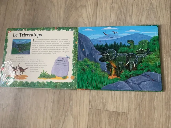 Dinopuzzle - Anne Sharp - Un livre-puzzle seuil jeunesse - photo numéro 6