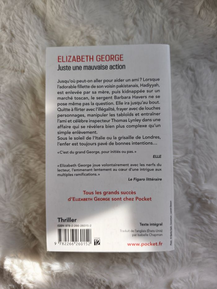 Juste une mauvaise action Elisabeth Georges - photo numéro 3