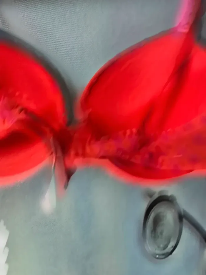 Soutien-gorge Playboy – Taille 95C - photo numéro 7
