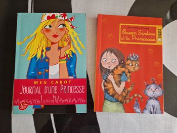 Lot 2 livres enfants journal d une princesse et Queen Sandrine et la princesse