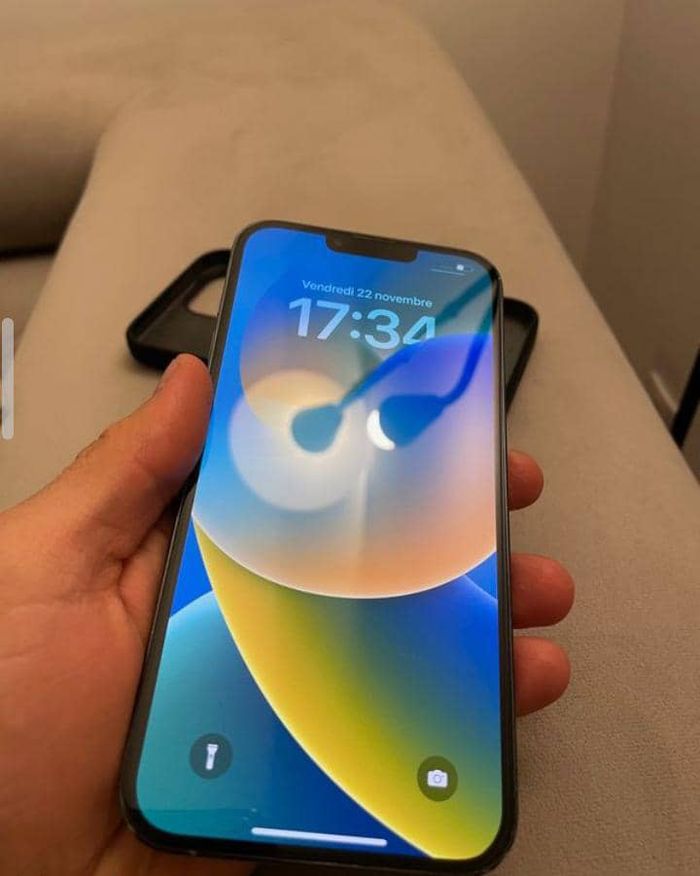 IPhone 13 Pro Max 256Go - photo numéro 3