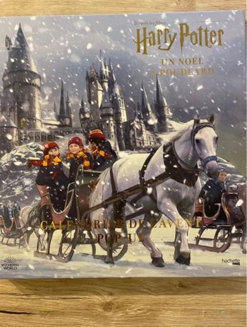 Calendrier de l’avent Pop-up Harry Potter