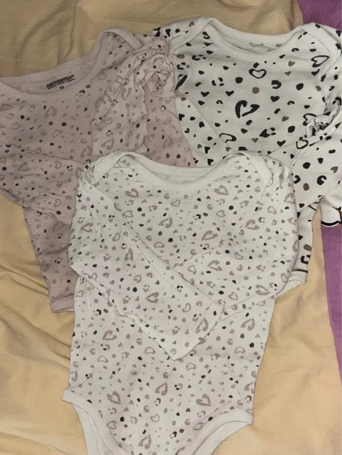 Lot bodies