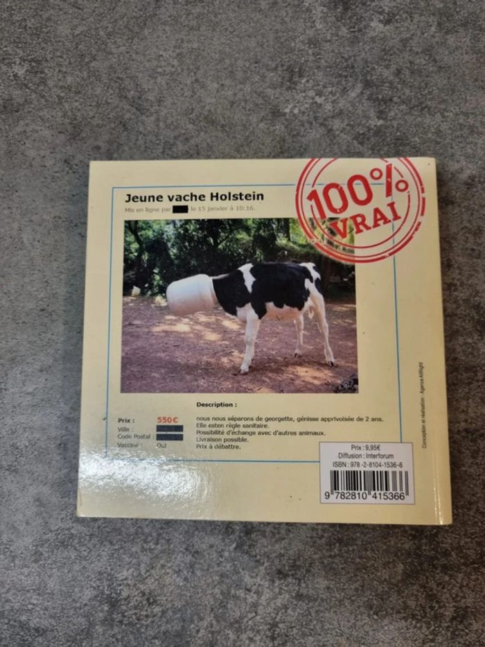Livre les pepites du site leboncoin - photo numéro 2