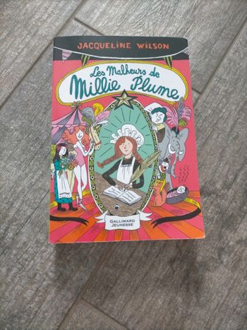 Livre les malheurs de Millie Plume