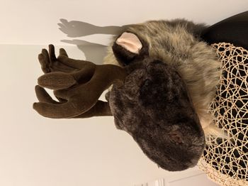 peluche caribou elan renne trophée decoration murale tête de caribou ou cerf wapiti