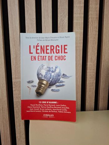 Livre broché L énergie en état de choc